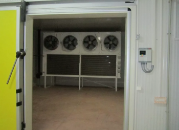 Poultry production business (poultry growing, slaughtering and processing)